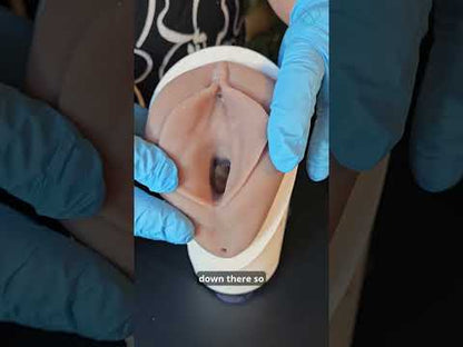 Lily - Levator Ani Muscle Avulsion Model