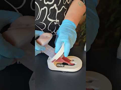 Lily - Levator Ani Muscle Avulsion Model